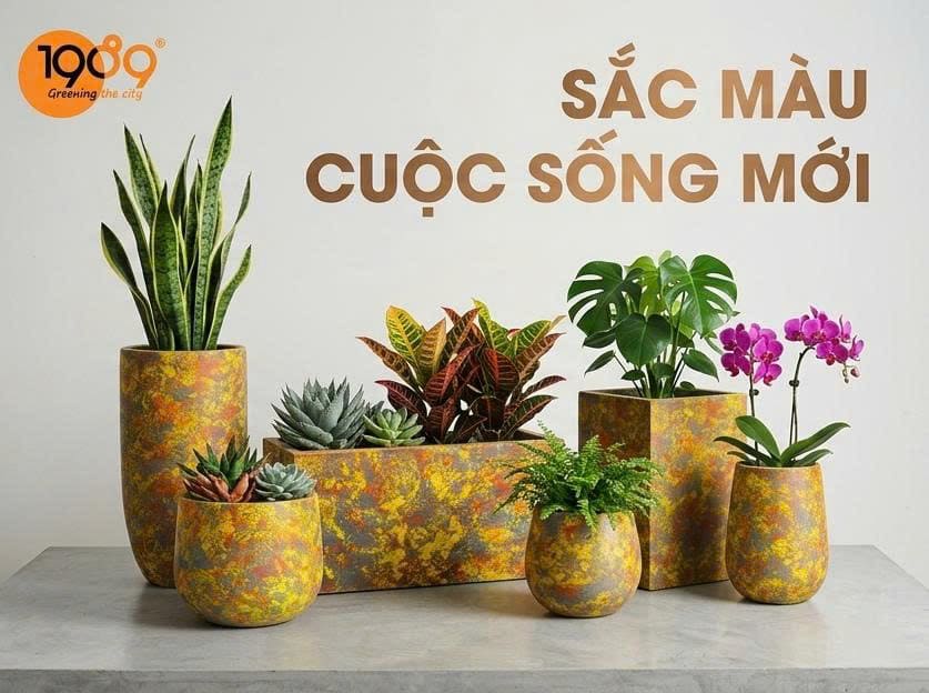 Chậu Decor Xi Măng Đá Mài – Giải Pháp Làm Đẹp Không Gian Đơn Giản Mà Sang chậu decor vân loan (10)
