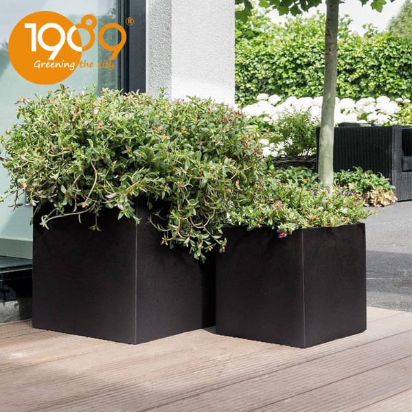 Chậu Đá Mài Vuông: Xu Hướng Decorative Mới Đang Làm Chao Đảo Giới Kiến Trúc và Người Yêu Cây Chậu Đá Mài Vuông: Xu Hướng Decorative Mới Đang Làm Chao Đảo Giới Kiến Trúc và Người Yêu Cây