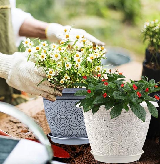 tiêu chi của làm depm cảnh quan
