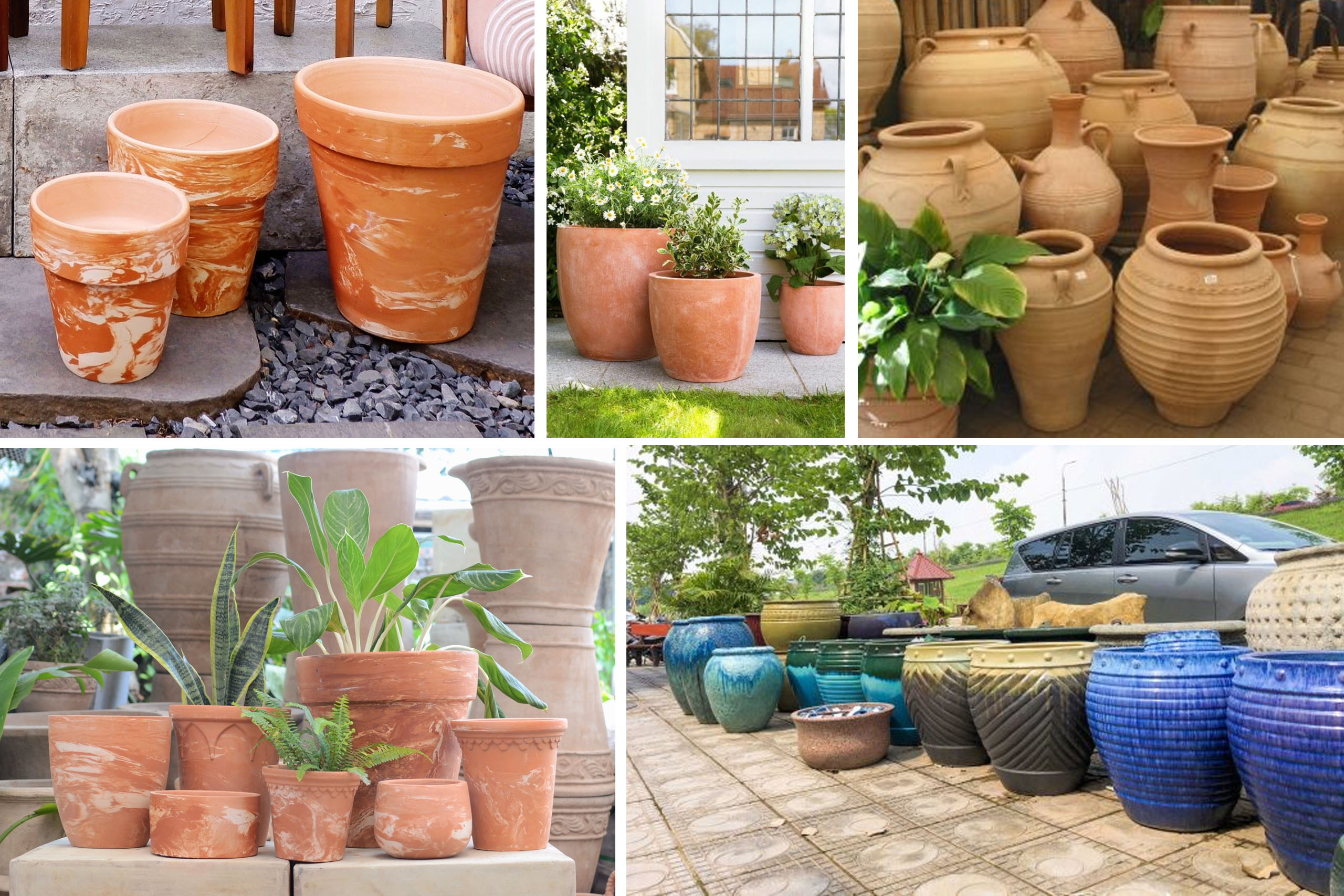 chậu gốm chậu đất nung, chậu sứ