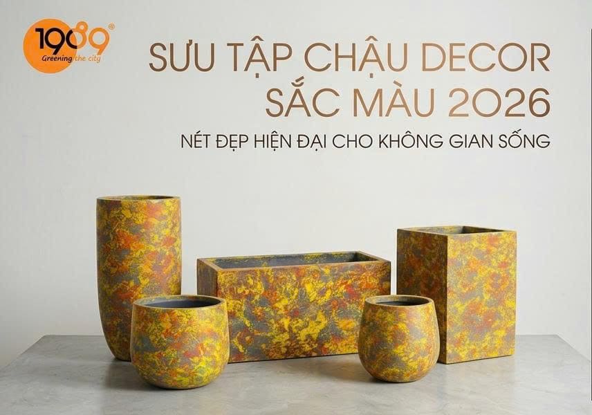 Chậu Decor Xi Măng Đá Mài – Giải Pháp Làm Đẹp Không Gian Đơn Giản Mà Sang chậu decor vân loan (13)
